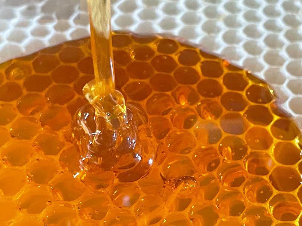 honig